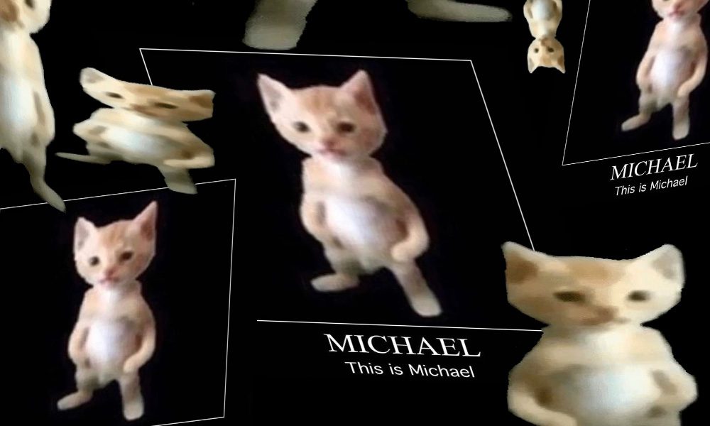 Kollaasi erikokoisista ja vääristyneistä Michael-kissanpentumeemeistä mustalla taustalla.