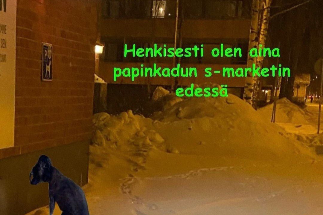 Yksityiskohta meemistä: hämärä maisema, rakennuksen seinä, lumikasa ja istuva pieni koira. Kuvan päällä teksti: "Henkisesti olen aina papinkadun s-marketin edessä".