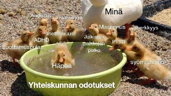 Meemi. Ankanpoikasia ja vesiastia. Kuvan päällä on tekstejä. - Aikuinen ankka: minä. - Ankanpoikaset astian ympärillä: luottamuspula, ADHD, unettomuus, ahdistus, yksinäisyys, julkisten paikkojen pelko, masennus, PTSD, yliherkkyys, syömishäiriö. - Astiassa uiva poikanen: häpeä. - Iso muovinen vesiastia: yhteiskunnan odotukset.