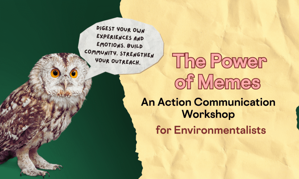 The Power of Memes – An Action Communication Workshop for Environmentalists