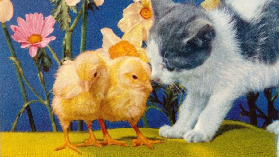 Kevään poikkeavat aukioloajat Merkissä