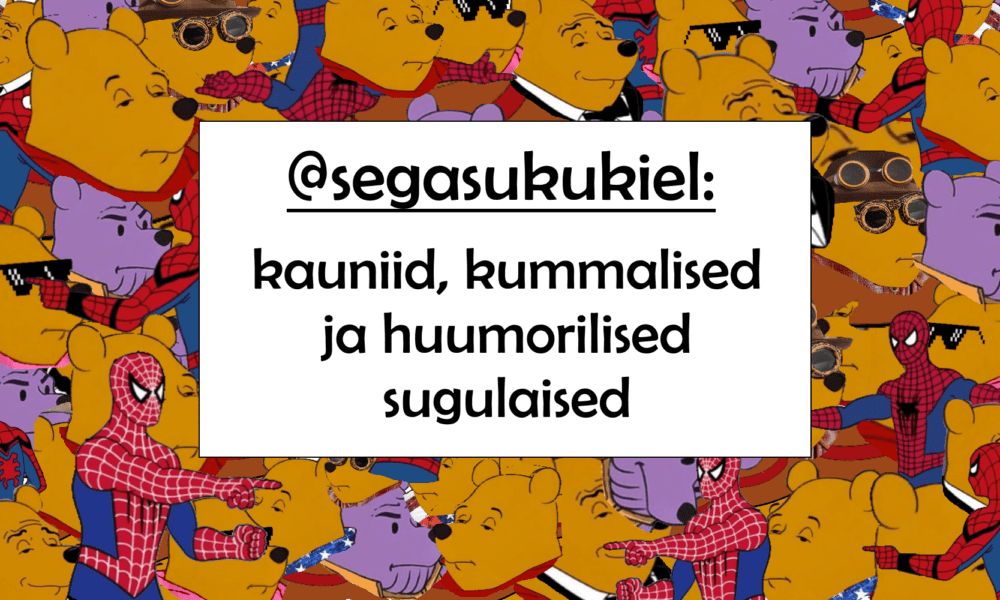 Segasukukiel Meemikujalla