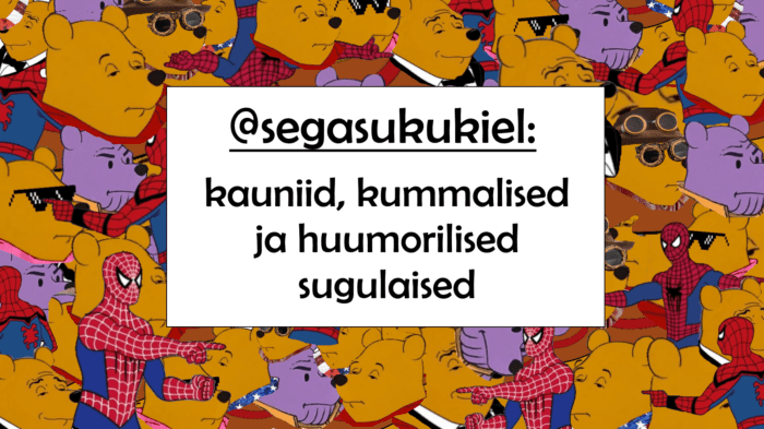 Segasukukiel Meemikujalla