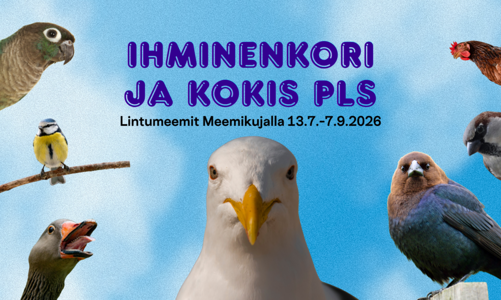 Ihminenkori ja kokis pls