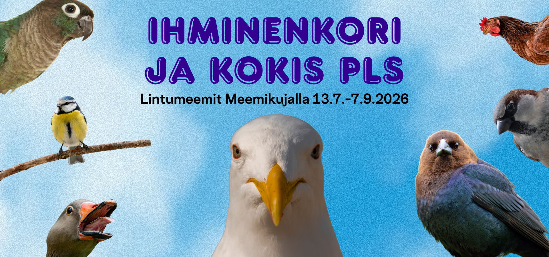 Ihminenkori ja kokis pls -näyttelyn tiedotuskuva. Näyttelyn nimi ja seitsemän erilaista lintua sinisellä taustalla.