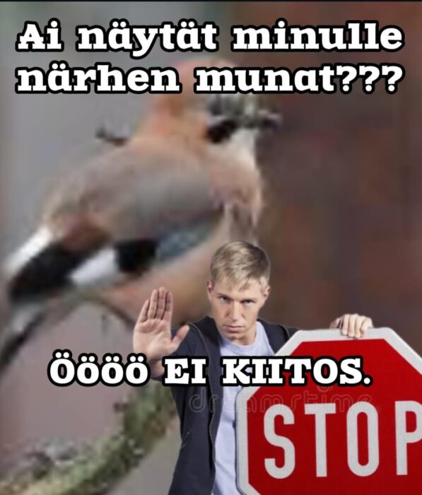 Meemi